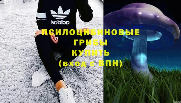 мескалин Бронницы