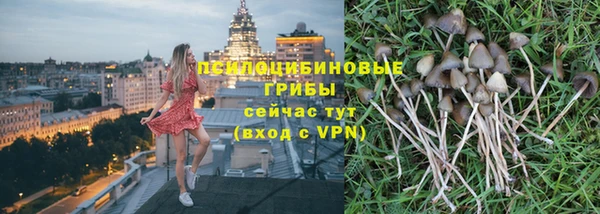 бутират Бугульма