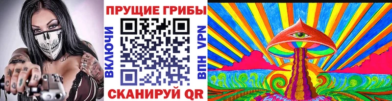дарнет шоп  Череповец  Псилоцибиновые грибы Psilocybine cubensis 